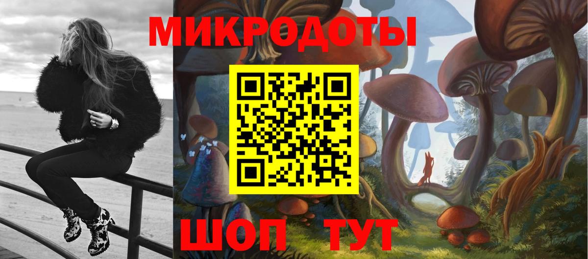 Псилоцибиновые грибы Psilocybe Дербент